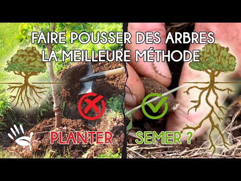 Vidéo: Différence Entre Jeune Arbre Et Semis