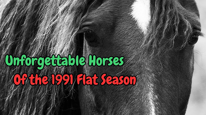 Racing Rewind: The Unforgettable Flat Season of 1991