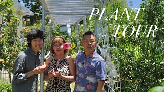 Relaxing Day in my Parents’ Garden | houseplants & fruit