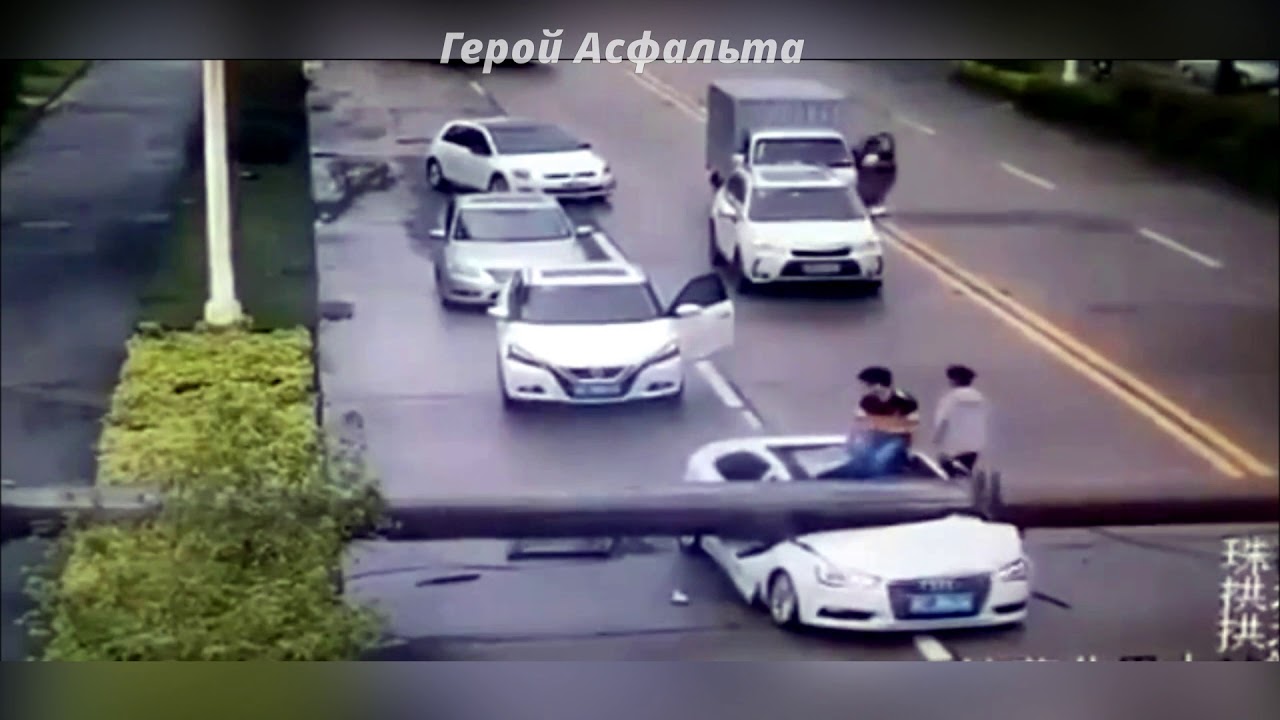Курицы на дорогах подборка видеорегистраторов