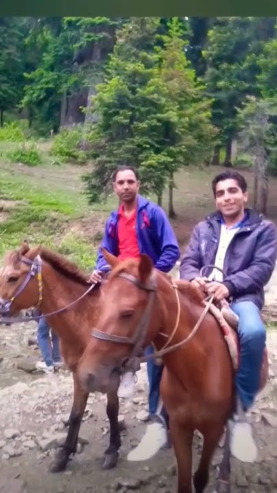 old-memories-hindi-adhyapak-shorts-youtube