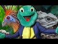 The weirdest living animals  with dr lawrence turtleman