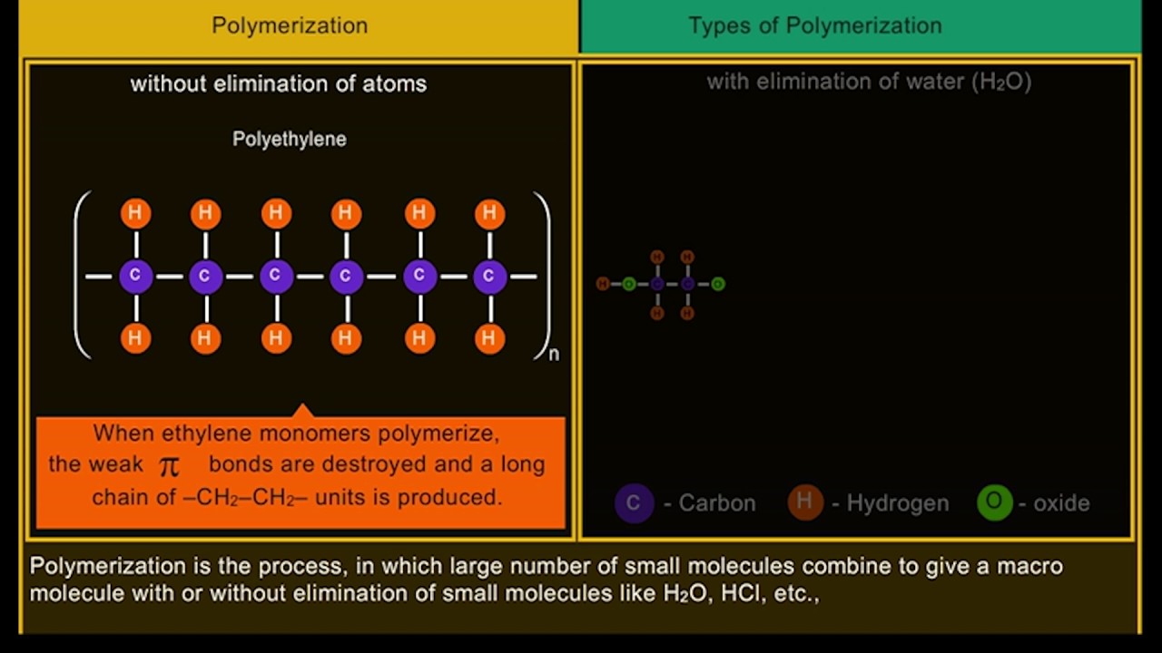 Types Of Polymers Chart