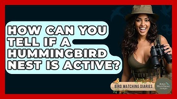 How Can You Tell If A Hummingbird Nest Is Active? - Bird Watching Diaries