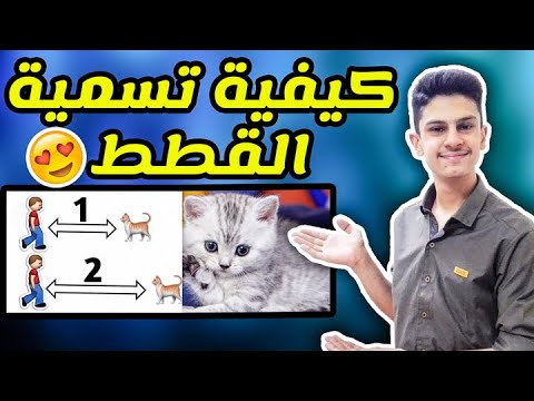 فيديو: كيفية تسمية قطة فارسية