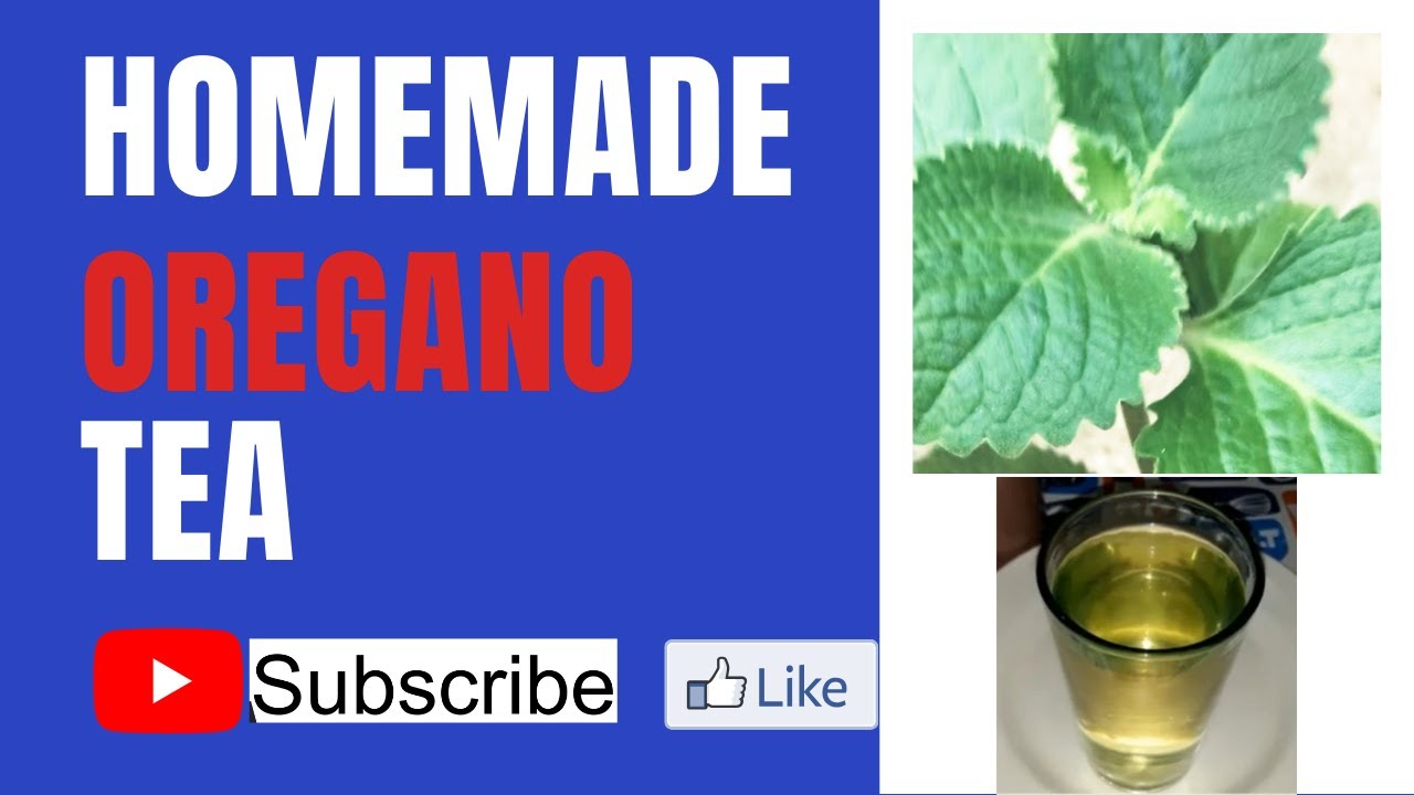 Homemade Oregano Tea YouTube
