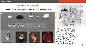 From polymer microgels to biomicrofluidics