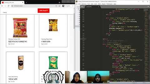 Penjelasan Singkat Tetang Bahasa Pemrograman Python, PySide2, Web Dinamis dan Statis