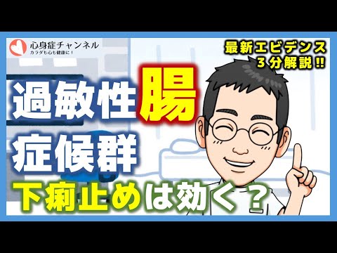 犬にイモディアムを与える前に知るべき7つの真実