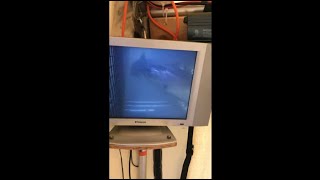 Fish Traps: The Passive Capture Technique