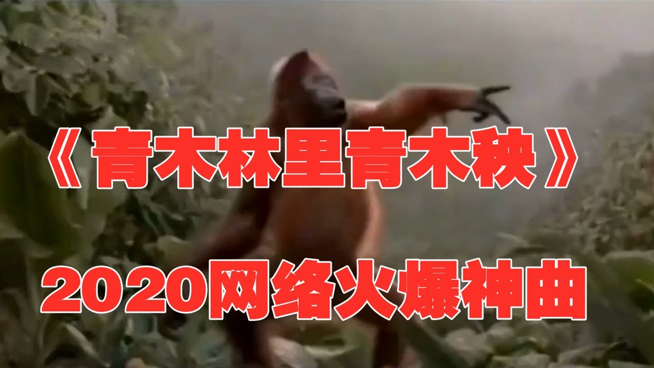 Guarda 2020火爆网络的洗脑神曲《青木林里青木秧》太好听了！配上动物们魔性的舞蹈，让你忘记烦恼忘记忧愁！ su YouTube
