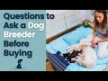 How To Buy A Puppy Questions To Ask A Dog Breeder