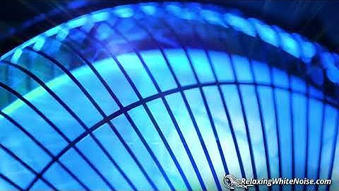 Perfect Fan White Noise | For Sleeping, Studying, Insomnia | 10 Hours Sleep Sounds