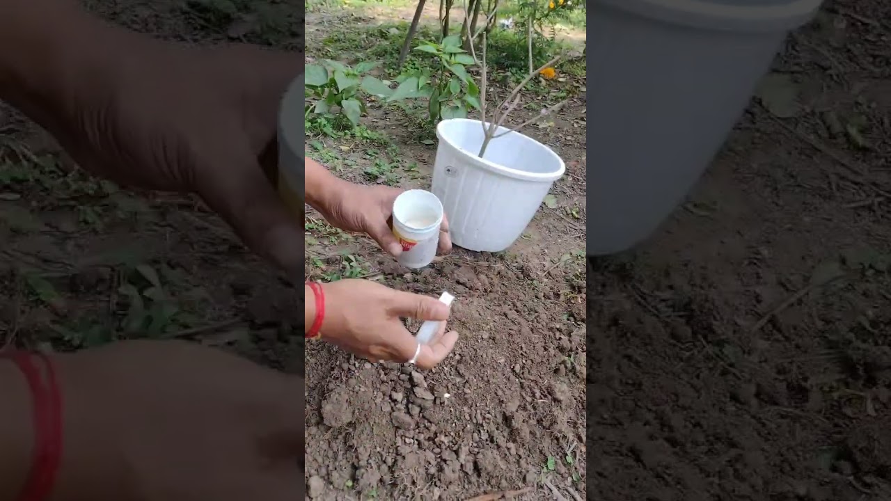 Methods of soil preparation 