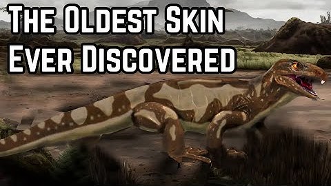 The Oldest Skin Ever Discovered