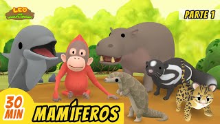 Mamíferos Episodio Compilación [Parte 1/6] (Español) - Leo, El Explorador | Animación - Familia