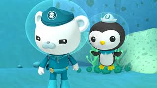 Октонавти і сяючі акули — пізнавальне відео