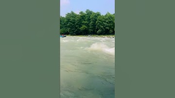 #rishikesh #uttarakhand #youtube #video #like #shorts #short #reels #viralshort #viralvideo #trip