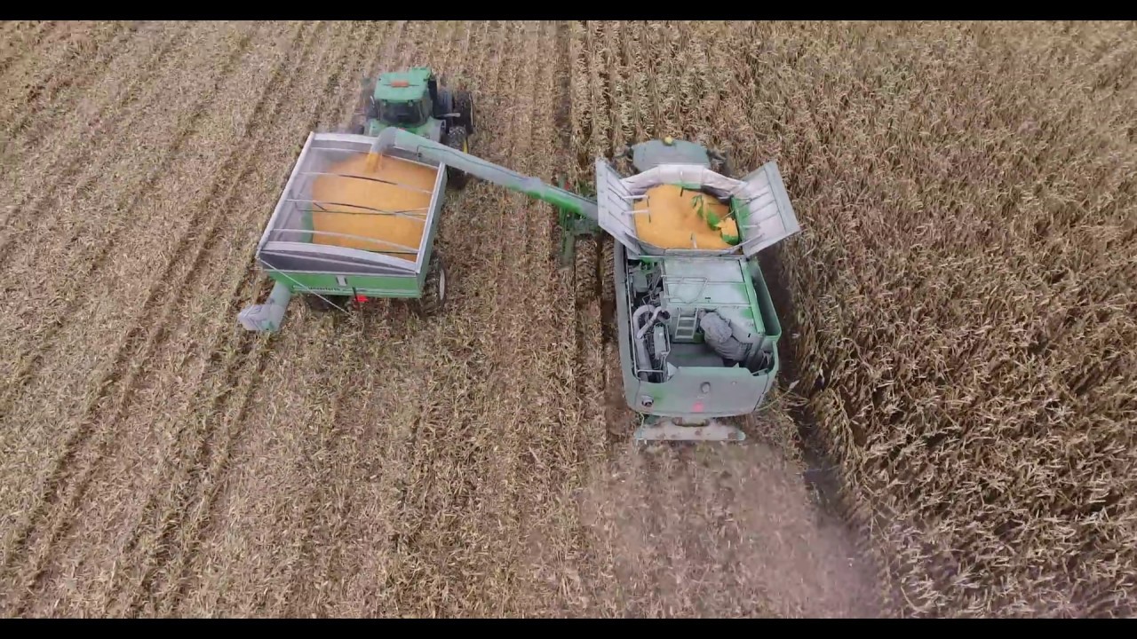Corn Harvest 2017 Ontario, Canada YouTube