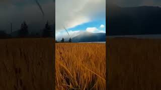 #природа #свобода #стихияводы