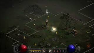 Diablo II Resurrected Druid Black Marsch 2