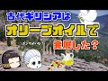 【ゆっくり歴史解説】オリーブオイルとギリシア文明