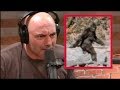 Joe Rogan - I Was Convinced Bigfoot Was Real!