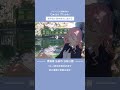 作業用BGM - 弘前公園 | 桜が映す季節の揺らぎ(フルver.は▶️をクリック) #shorts #BGM #chill #animation #anime