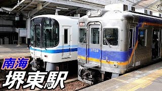 南海高野線・堺東駅で見られた車両達／2019年3月
