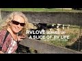 A Slice of RV Life Episode #15: The Farm