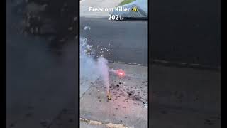 Freedom Fireworks Killer Bees 2021 Demo