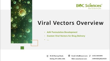 Viral Vectors Overview - Viral Vectors for Gene Therapy - BOC Sciences