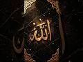 Islamic Calligraphy Art