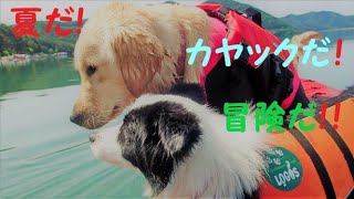 【納涼】ボーダーコリー初めてのカヤック　犬を二匹乗せて鏡のような湖上を行く Summer adventure with my dog