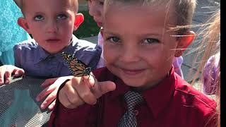 Belfast Kindergarten Graduation 2019