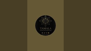 Download Lagu Pick A Pile  | Pesan Cinta \u0026 Spritual Untukmu - Live! MP3