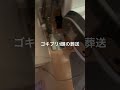 ゴギブリ一頭の葬送