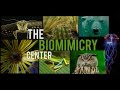 Biomimicry at the design school