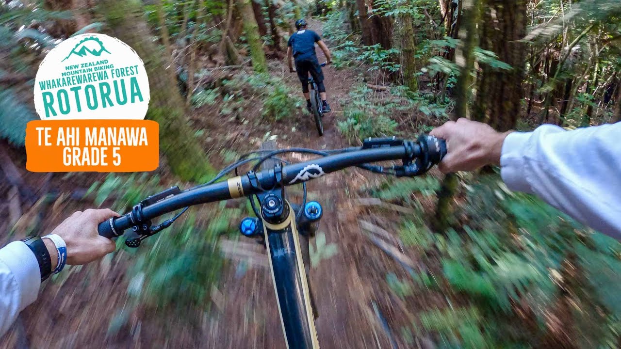 Any one ask for an airport transfer? Airport to Te Ahi Manawa - Rotorua