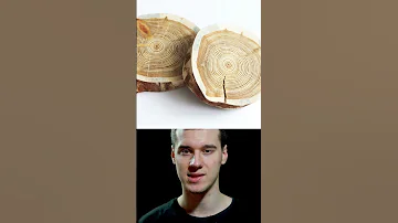 Лиственница