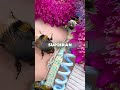 Este Hombre Encontró Abejas En Su Coche 🤯❤️