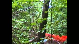 Tare ca Piatra 2011 part  2.avi