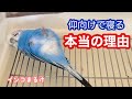 なぜ、セキセイインコが仰向けで寝るのか、本当の理由が分かった‼︎ 【セキセイインコ】　Budgerigar.