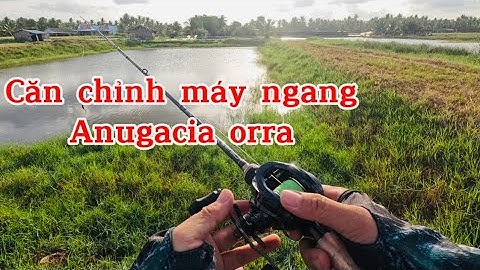 Căn Chỉnh Máy Ngang Cơ Bản Máy Ngang Anugacia Orra Cần Hunter Cacbon Xoắn X Toàn Thân Đại Ngáo