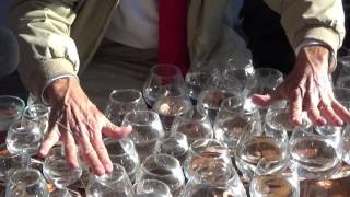 Glass Harp Street Performance by Jamey Turner - Ode to Joy