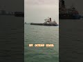 MV OCEAN SAGA #shipspotting #ship