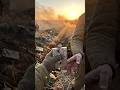 Почему Опытные Бойцы Никогда Не Пили Воду Сразу После Боя, Как Бы Сильно Ни Хотелось? #история
