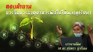 EP.13 ตอบคำถาม การจัดการธาตุอาหารพืชในไม้ผล (ทุเรียน) โดย รศ.ดร.สุมิตรา |ปุ๋ยตราเขาแก้ว (Official)