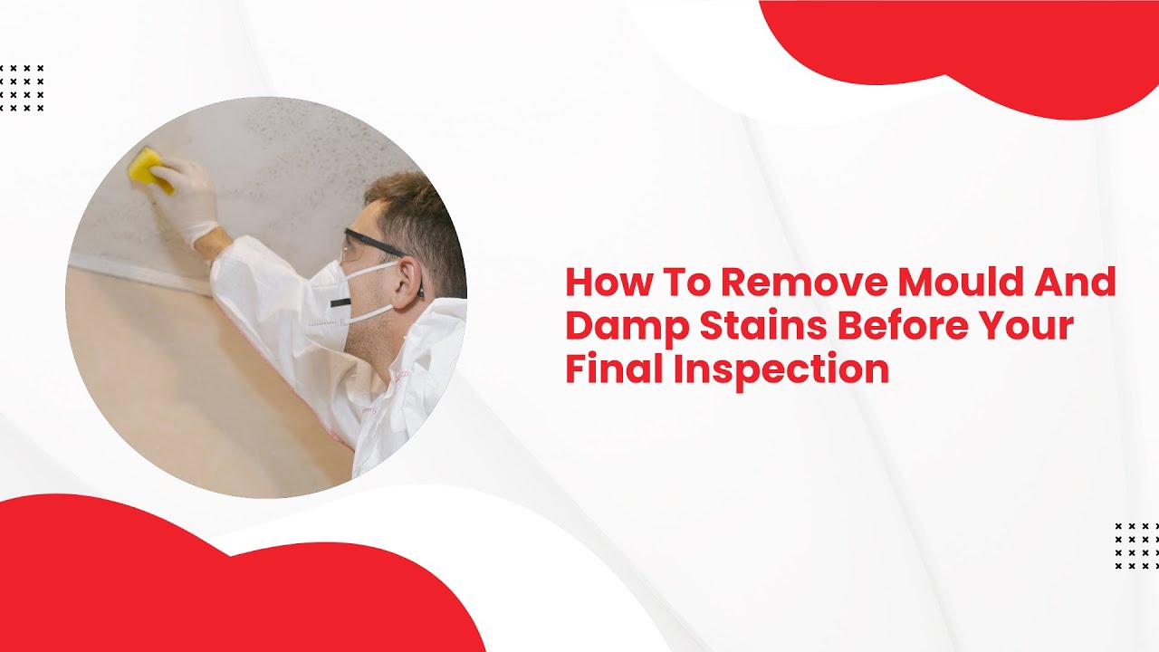 How To Remove Mould And Damp Stains Before Your Final Inspection | Bond Cleaning In Port Macquarie