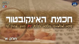 חכמת האינקובטור - חלק א' - הרב אהרן לוי.